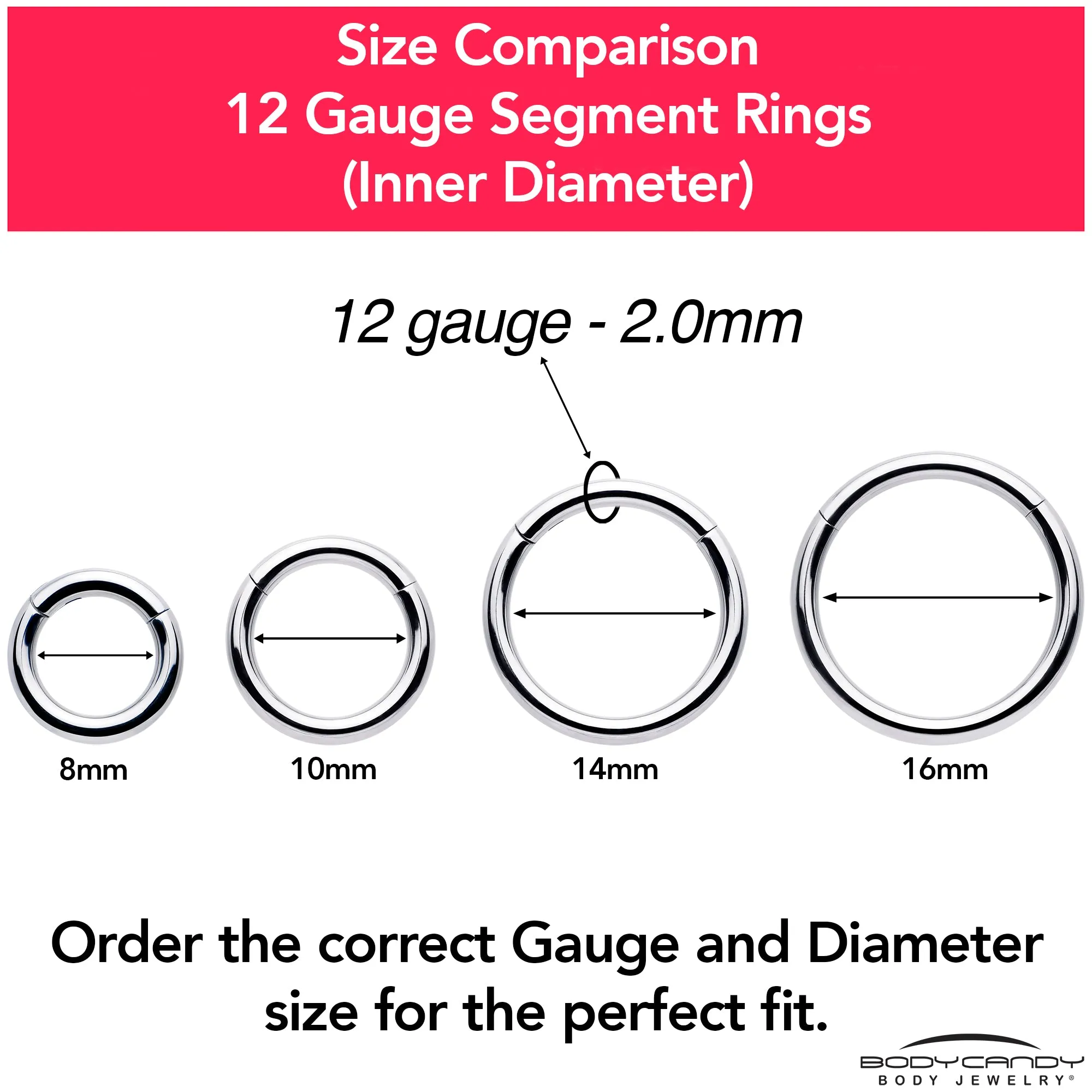 12 Gauge 9/16 316L Surgical Steel Precision Hinged Segment Hoop