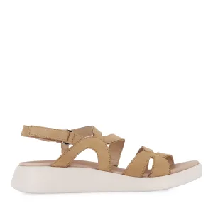 CAYLEE C-6534 - SAND NUBUCK